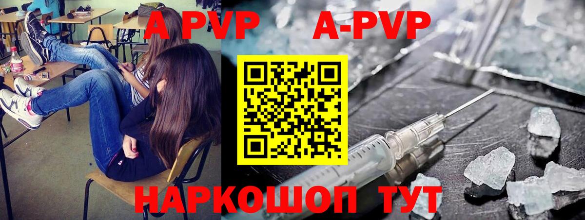 Альфа ПВП СК КРИС Железноводск