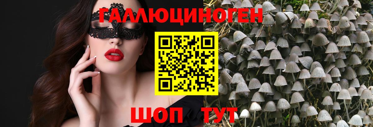 Псилоцибиновые грибы Psilocybe  где можно купить наркотик  Железноводск  Псилоцибиновые грибы ЛСД  Вход с VPN 